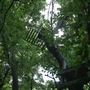 Stinchcomb Wildlife Refuge