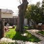 Mesta Park Historical Home