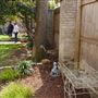 Mesta Park Historical Home