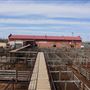 Oklahoma National Stockyard Exchange