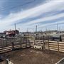 Oklahoma National Stockyard Exchange