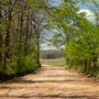 N Pumpkin Hollow Road