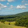 HWY 100 Scenic View