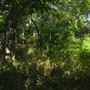 Rydell Ranch