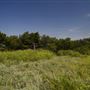Rydell Ranch