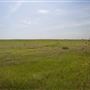 Rydell Ranch