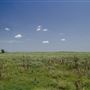 Rydell Ranch