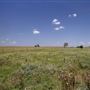 Rydell Ranch