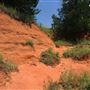 Rydell Ranch