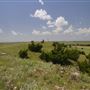 Rydell Ranch