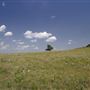Rydell Ranch