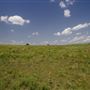 Rydell Ranch