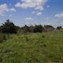 Rydell Ranch