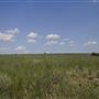 Rydell Ranch