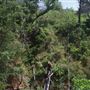 Rydell Ranch