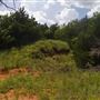 Rydell Ranch