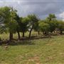 Rydell Ranch
