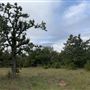 Ward Ranch