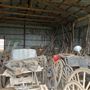 Ward Ranch