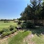 Nellis Vineyards