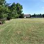 McKinney Seasonal Christmas Tree Farm & Pasture