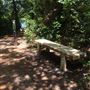 Collinsville Lake Mountain Biking & Hiking Trails