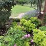 Fisher Hills