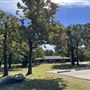 Chandler Park