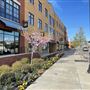 Downtown / Redbud District