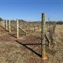 Pecan Creek Winery