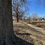 Gulick Park