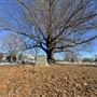Green Hill Cemetery