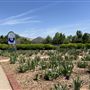 Will Rogers Gardens