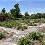 Will Rogers Gardens