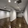 Leslie Powell Gallery