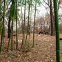 Bostic Farm