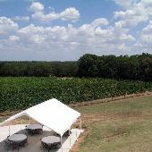 Greenfield Vineyard and Winery