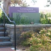 Linnaeus Garden