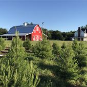 Red Bird Farm