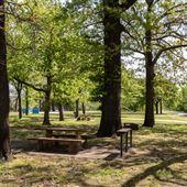 Carters Landing Campground