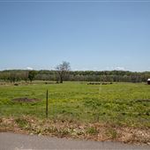 E 730 Rd Landscape