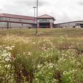Greasy Public School