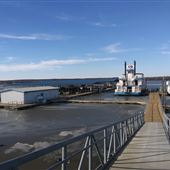 Royal Bay Marina