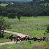 Long Ranch (Barnsdall)