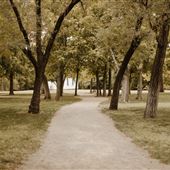 Harn Homestead Museum