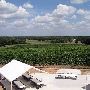 Greenfield Vineyard and Winery