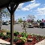 Guest Inn
