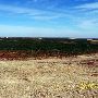 Hwy 64