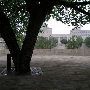Oklahoma City National Memorial & Museum