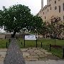 Oklahoma City National Memorial & Museum